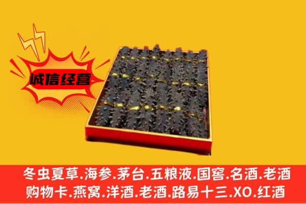 攀枝花东区回收海参